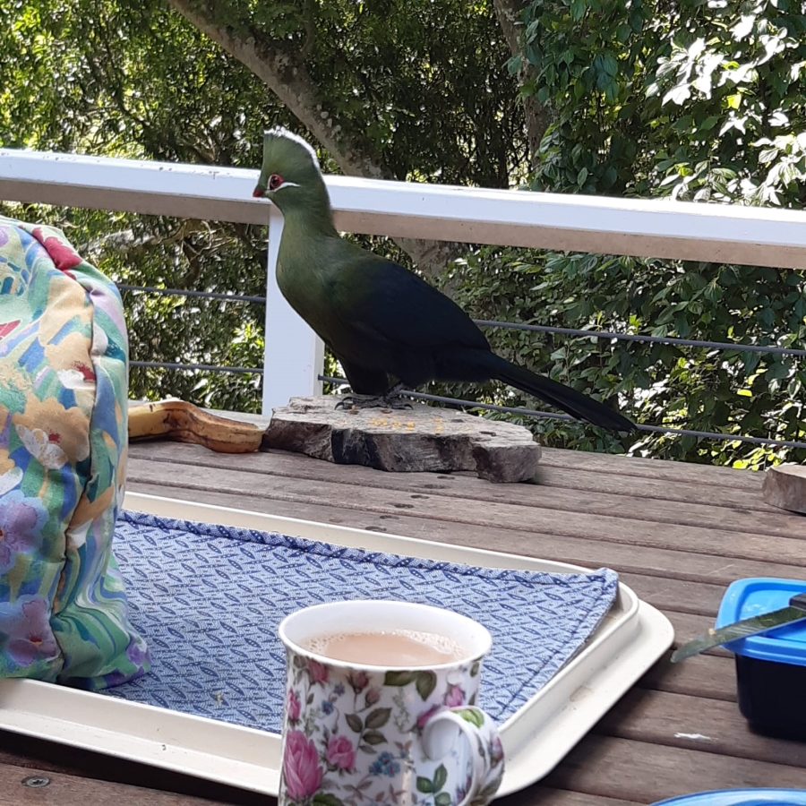 2 Bedroom Property for Sale in Brenton On Lake Western Cape